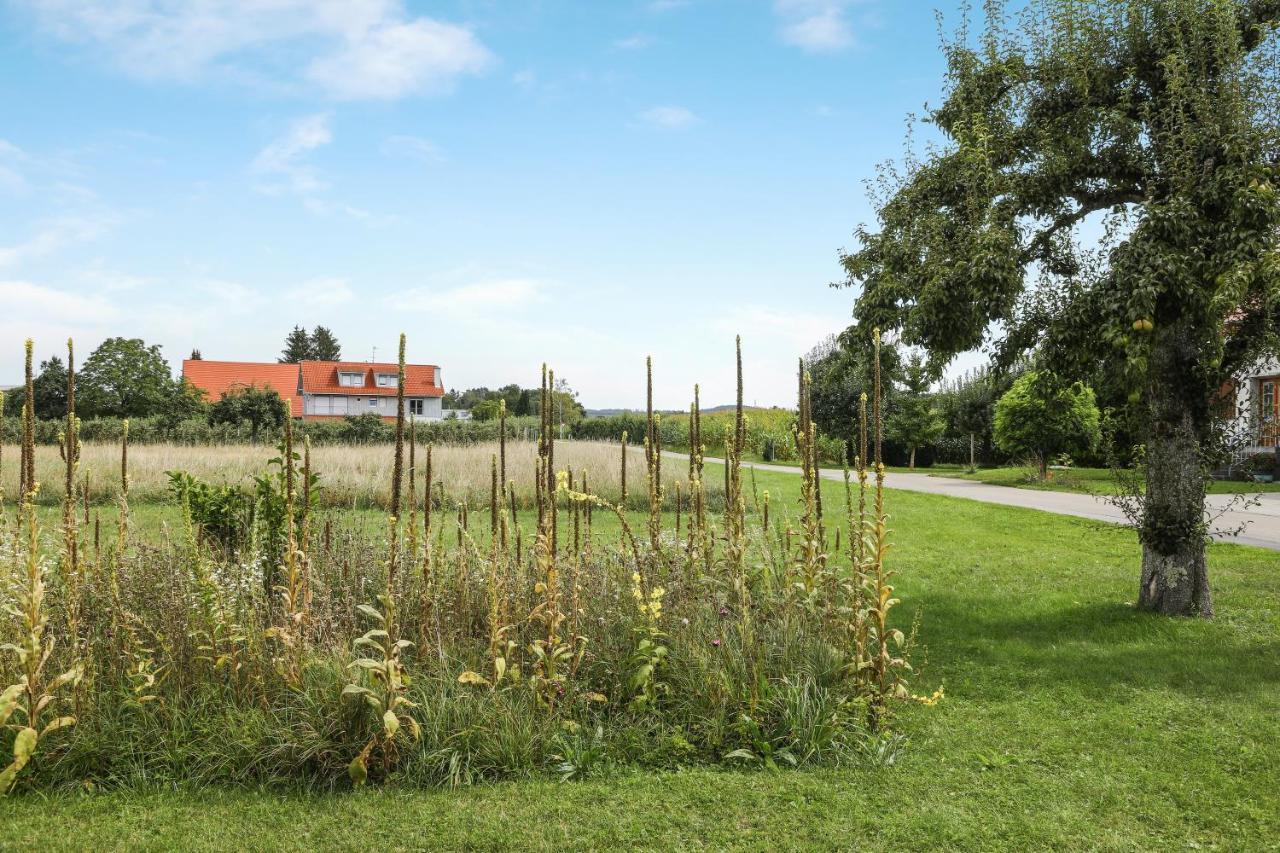 Eberle Eriskirch